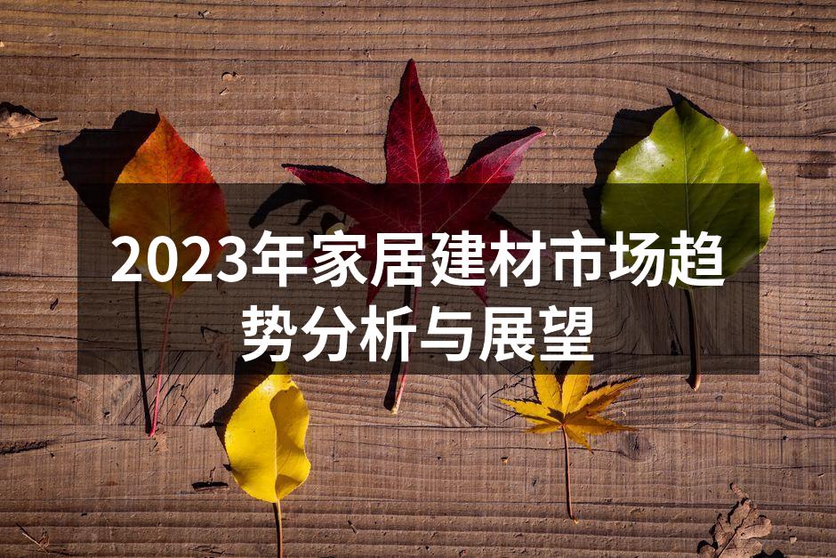 2023年家居建材市场趋势分析与展望